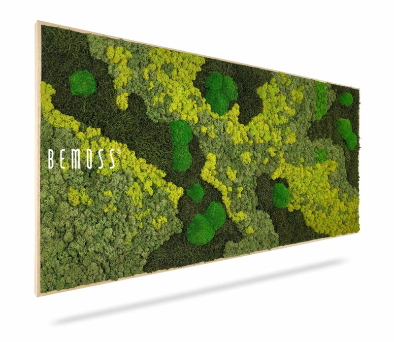 Cuadro de musgo BEMOSS® ORTHO LIME