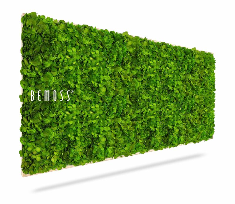 Cuadro de musgo BEMOSS® MIMI