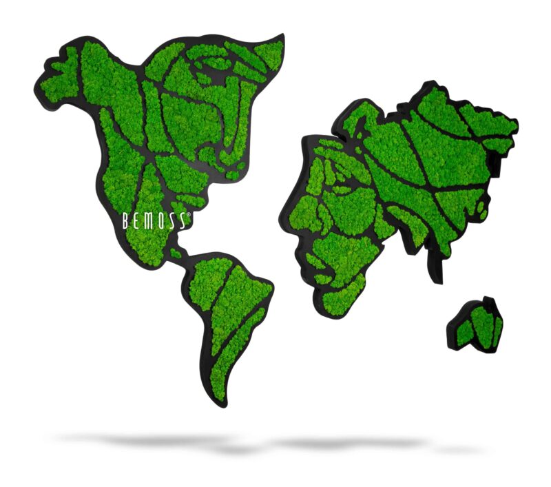 Cuadro de musgo Mapa del Mundo GESICHTER (160x100cm)