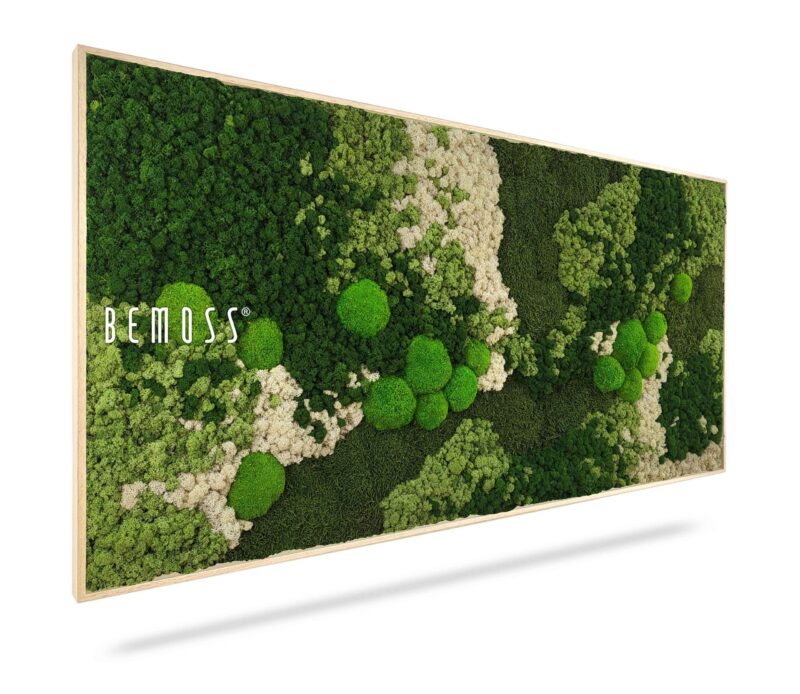 Cuadro de musgo BEMOSS® ORTHO FOREST