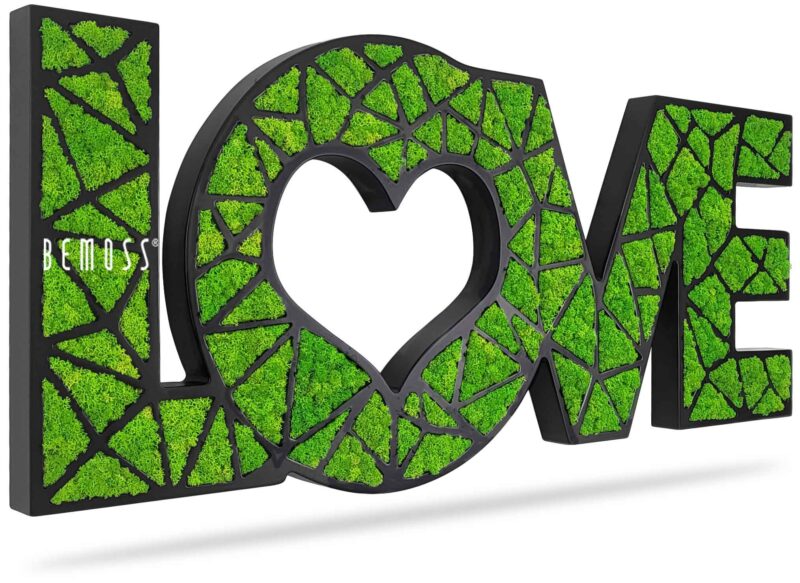 zelený znak lásky so srdcom na boku a slovom láska napísaným v strede, environmentálne umenie , machovy obraz, stabilizovany mach, machová stena, machová dekorácia