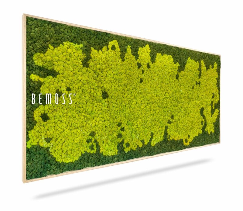 Cuadro de musgo BEMOSS® MARE