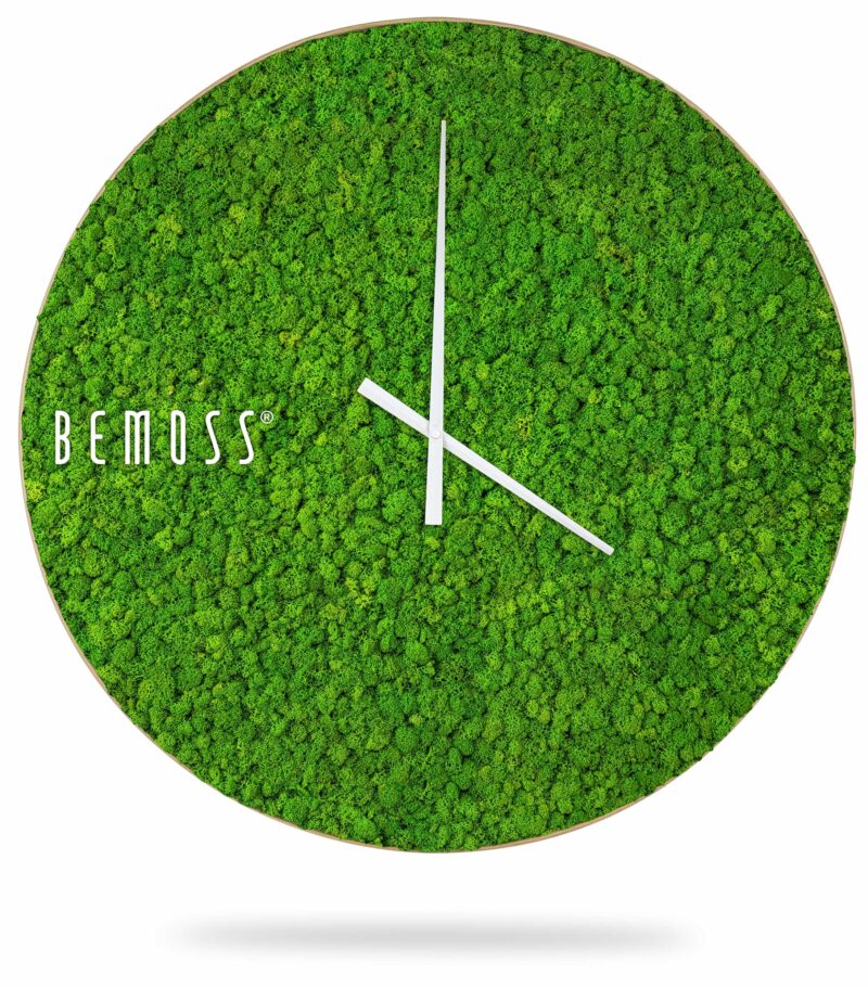 Reloj de musgo MUSGO DE ISLANDIA