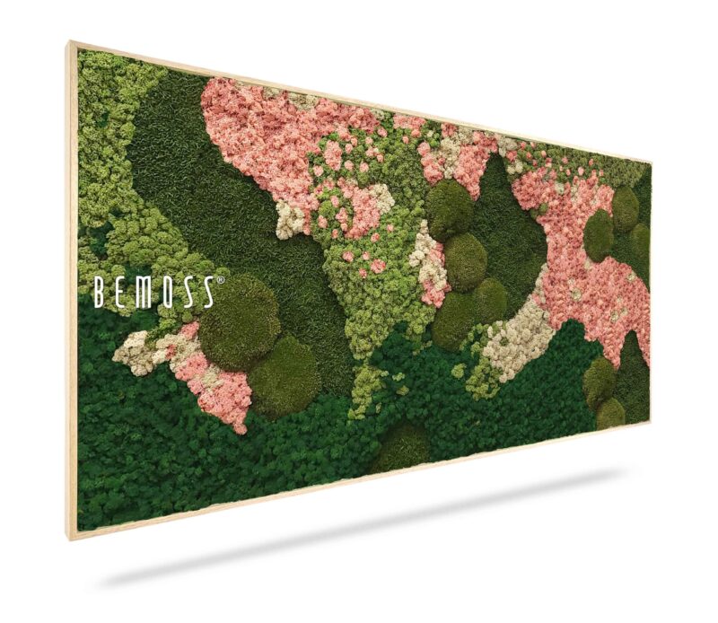 Cuadro de musgo BEMOSS® ORTHO PINK