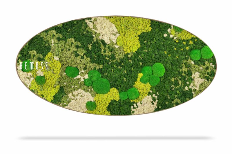 Cuadro de musgo Elipse BEMOSS® ORTHO SPRING