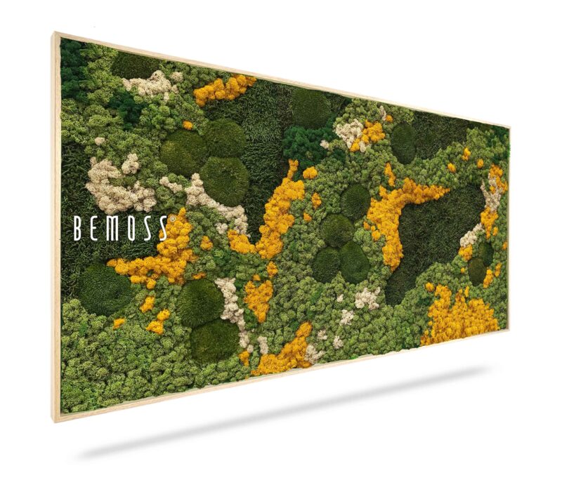 Cuadro de musgo BEMOSS® ORTHO YELLOW