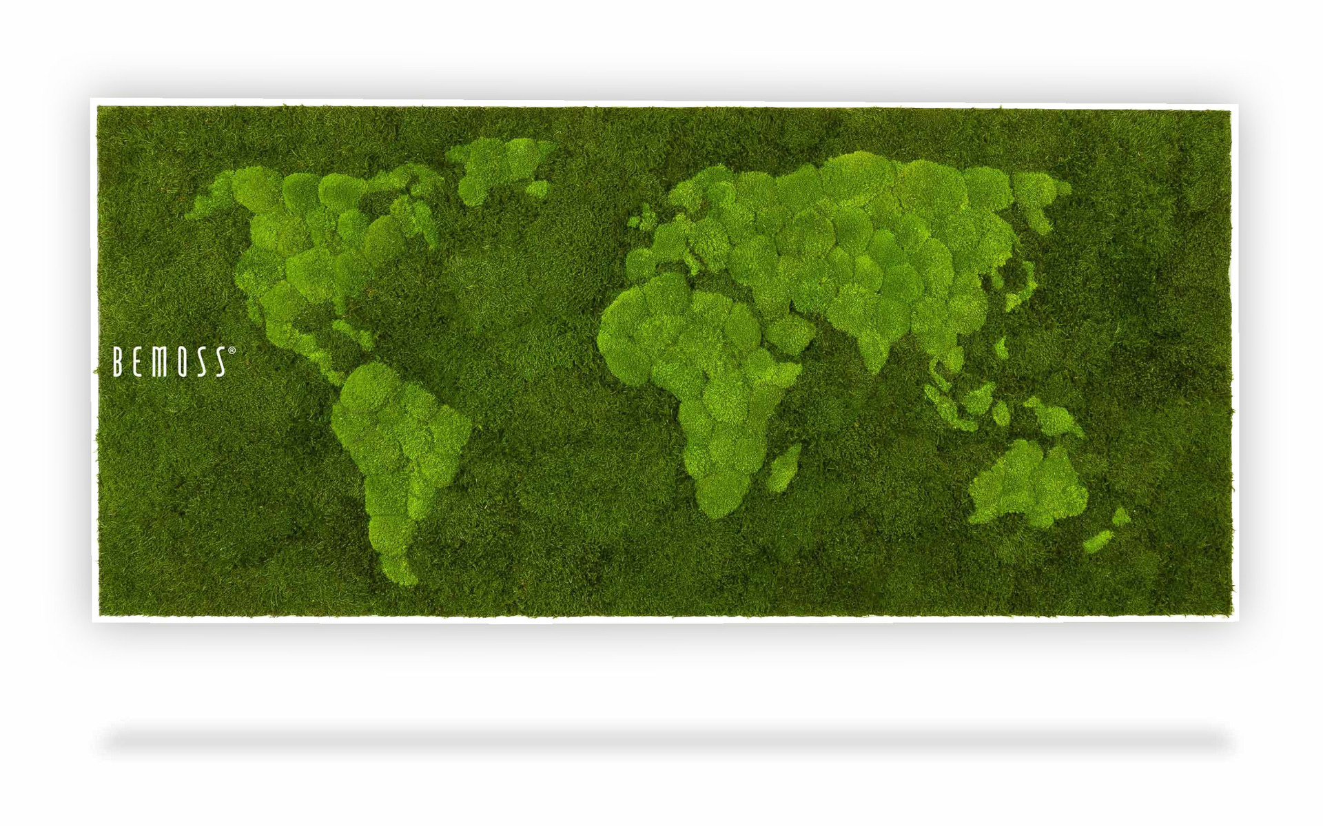 zelená mapa sveta s nápisom príroda napísaným bielym písmom na zelenom pozadí s bielym okrajom, environmentálne umenie , machovy obraz, stabilizovany mach, machová stena, machová dekorácia