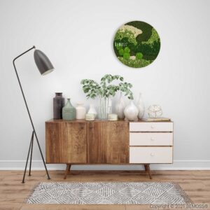 miestnosť s drevenou skriňou a bielym kobercom a nad ňou veľké hodiny na stene so zelenou rastlinou, environmentálne umenie , machovy obraz, stabilizovany mach, machová stena, machová dekorácia