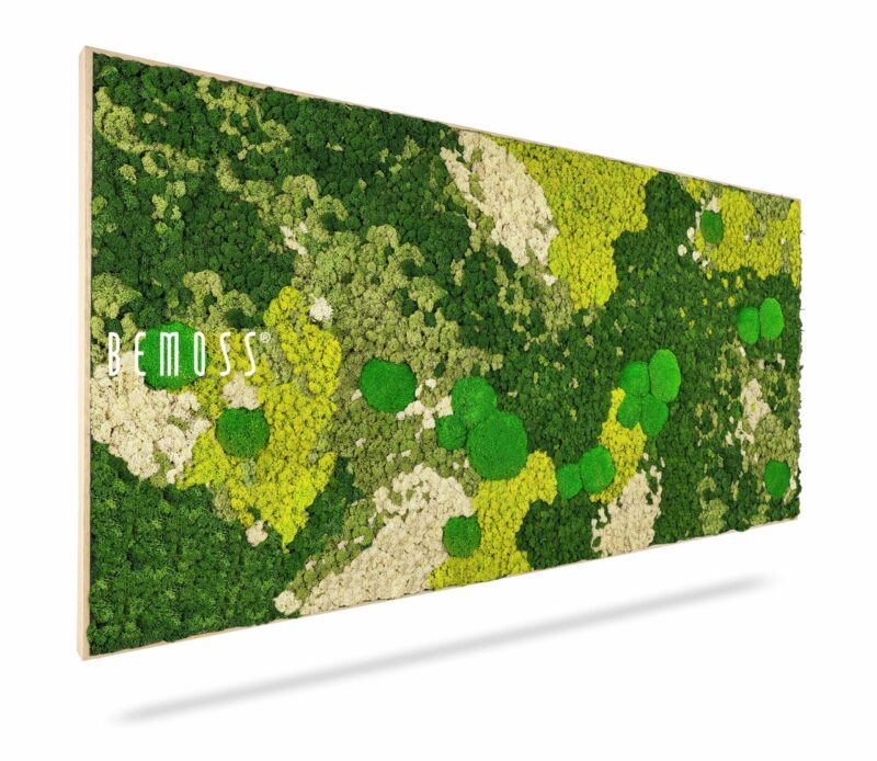 Cuadro de musgo BEMOSS® ORTHO SPRING