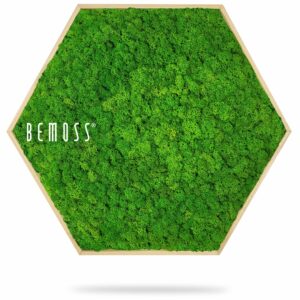 zelená stena s nápisom buď machom a v pozadí obrázok stromu so šesťhranným rámom, environmentálne umenie , machovy obraz, stabilizovany mach, machová stena, machová dekorácia