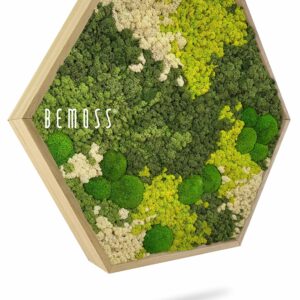 zelená stena s machom a listami s nápisom bema v tvare šesťuholníka, environmentálne umenie , machovy obraz, stabilizovany mach, machová stena, machová dekorácia