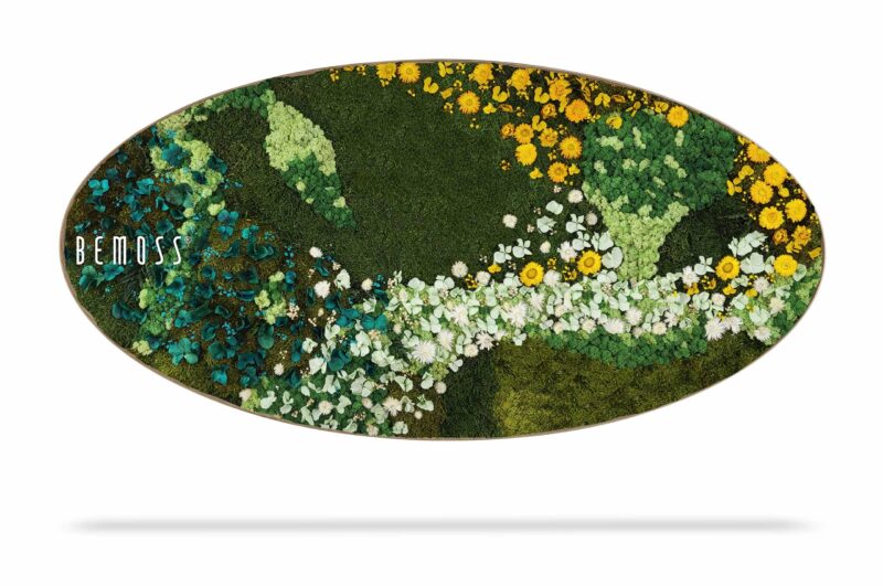 Cuadro de musgo Elipse PLANTAS Acre