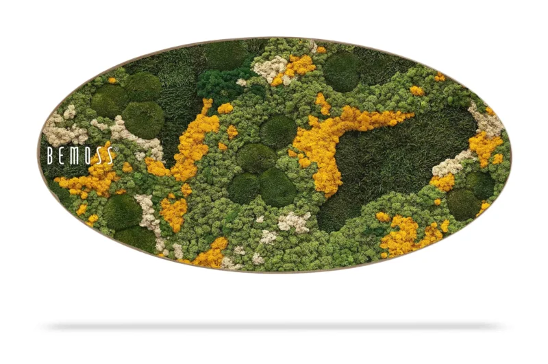 Cuadro de musgo Elipse BEMOSS® ORTHO YELLOW