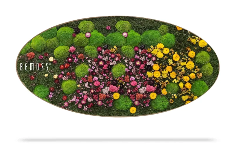 Cuadro de musgo Elipse PLANTAS Parra