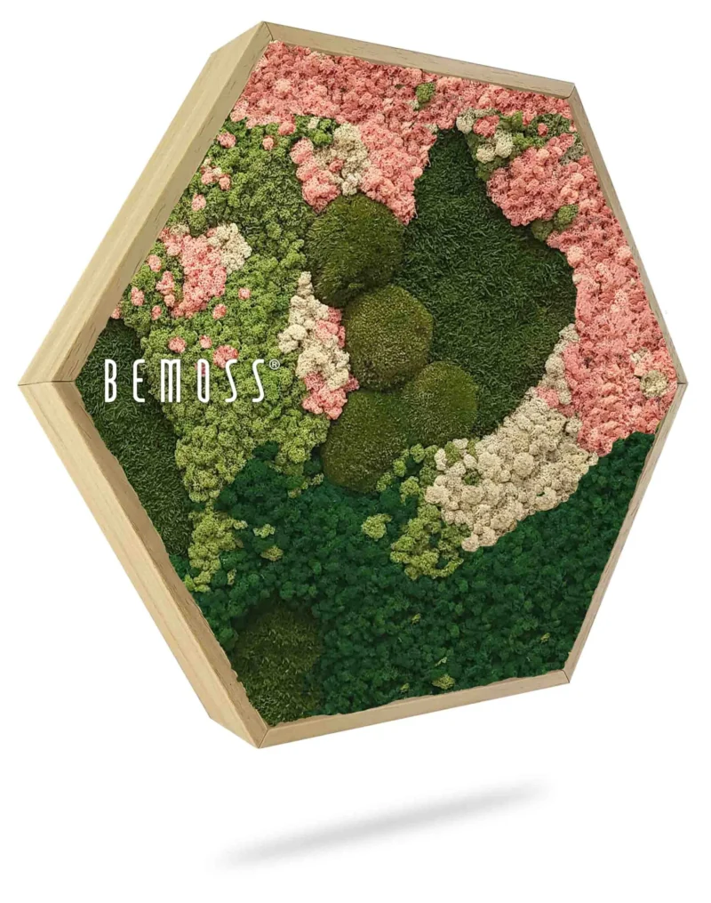 Cuadro de musgo Hexágono BEMOSS® ORTHO PINK