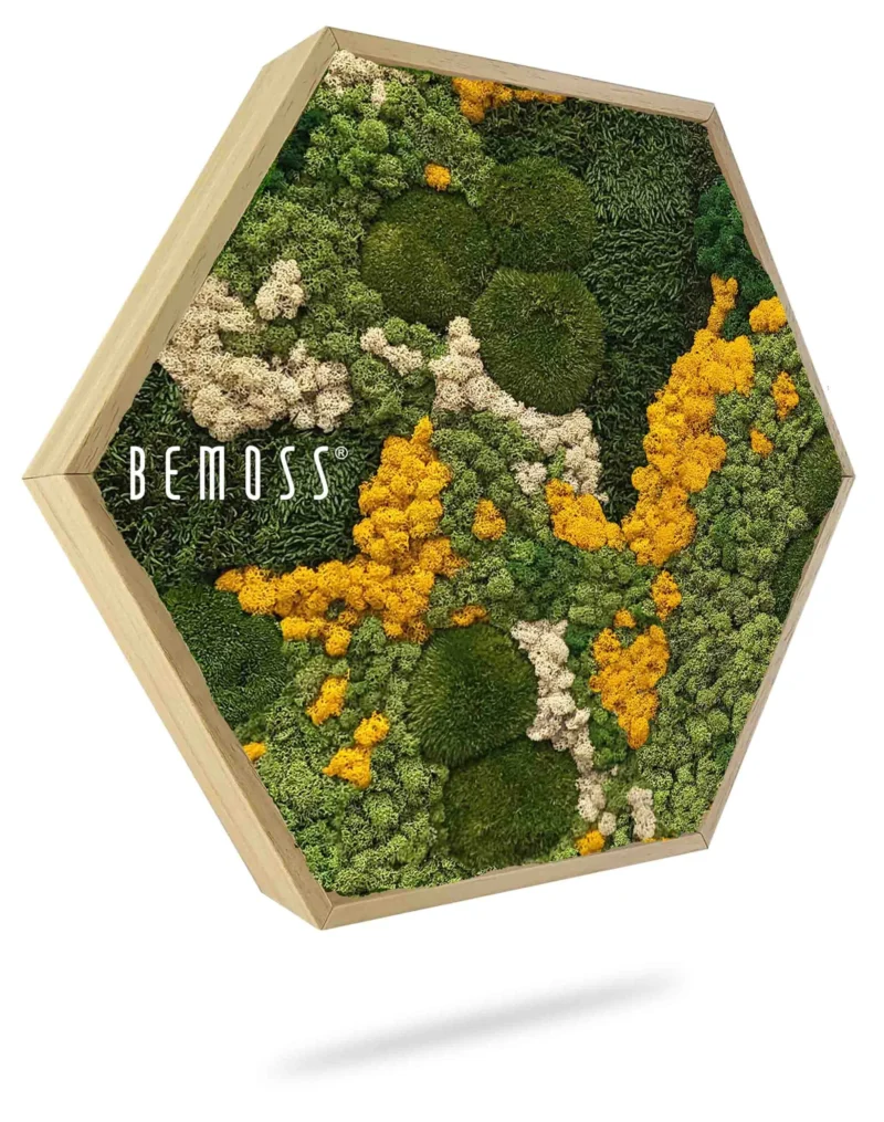 Cuadro de musgo Hexágono BEMOSS® ORTHO YELLOW