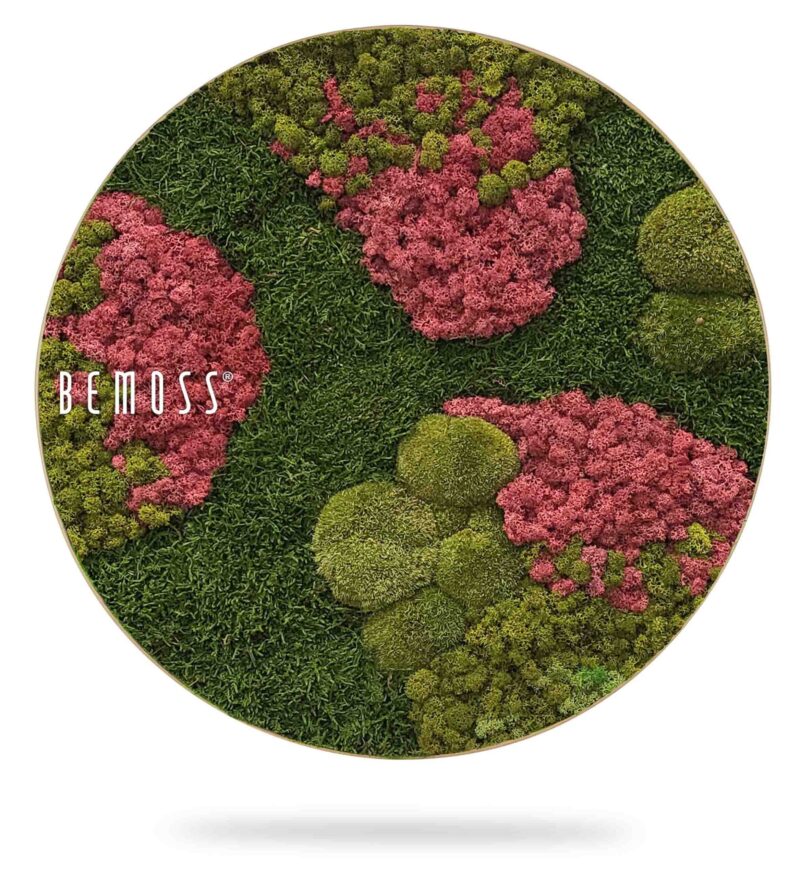 Cuadro de musgo redondo BEMOSS® ORTHO BURGUNDY