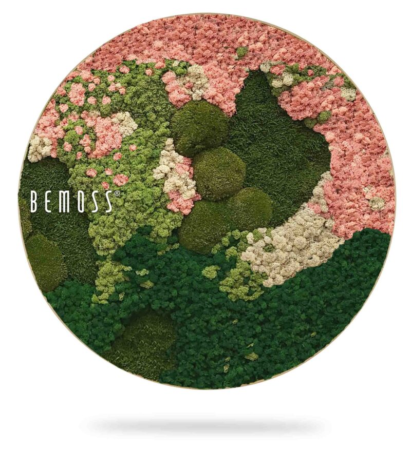 Cuadro de musgo redondo BEMOSS® ORTHO PINK