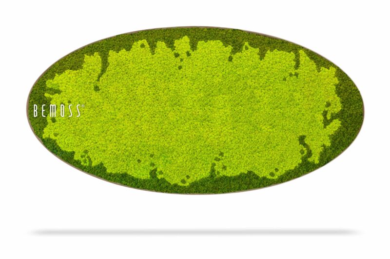 Cuadro de musgo Elipse BEMOSS® MARE
