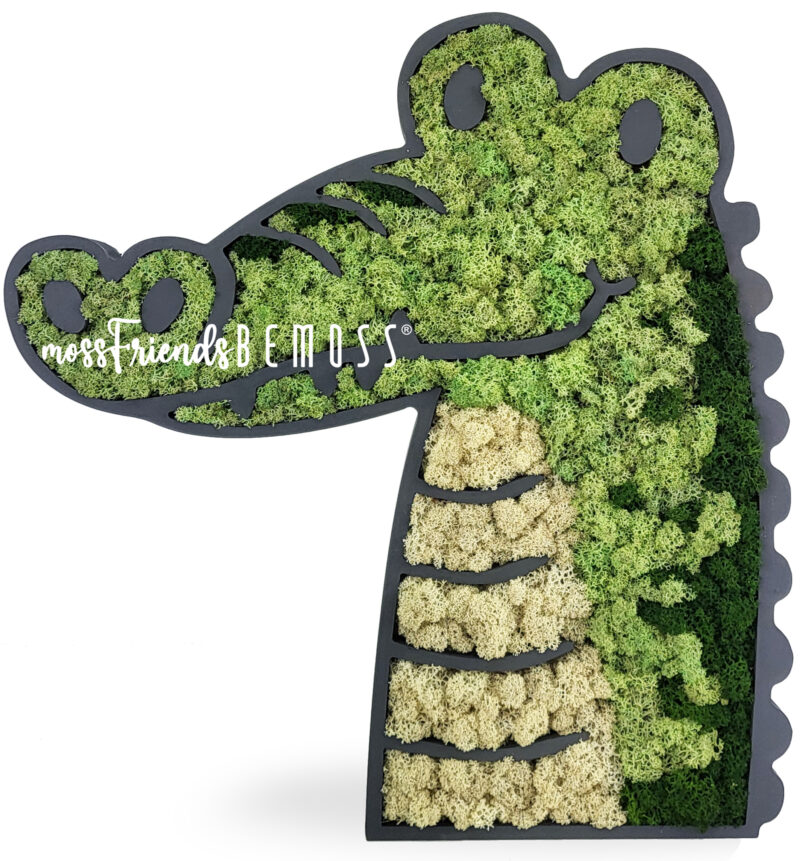 COCODRILO de musgo