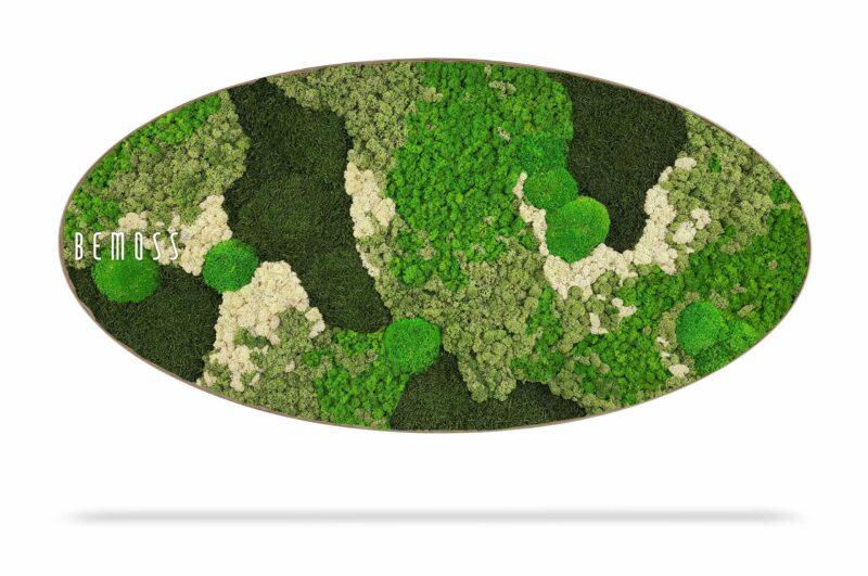 Cuadro de musgo Elipse BEMOSS® ORTHO GREEN