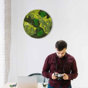muž stojaci pred prenosným počítačom držiaci v rukách fotoaparát a za ním na stene zelený obraz machovy obraz, stabilizovany mach, machová stena, machová dekorácia