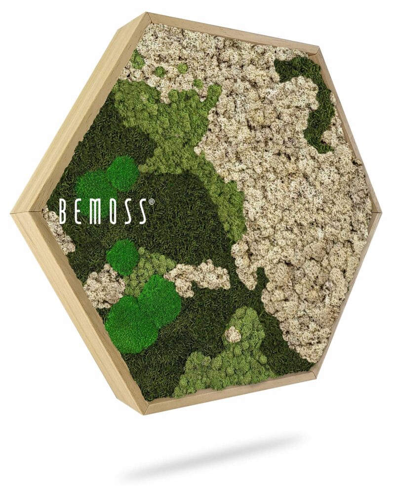 Cuadro de musgo Hexágono BEMOSS® ORTHO NATURAL