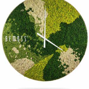 hodiny, na ktorých rastie mach s nápisom bemoss na ciferníku a bielym pozadím, environmentálne umenie , machovy obraz, stabilizovany mach, machová stena, machová dekorácia