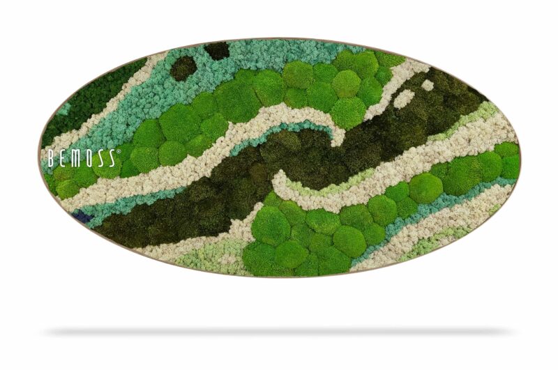 Cuadro de musgo Elipse BEMOSS® ORTHO SWIRL