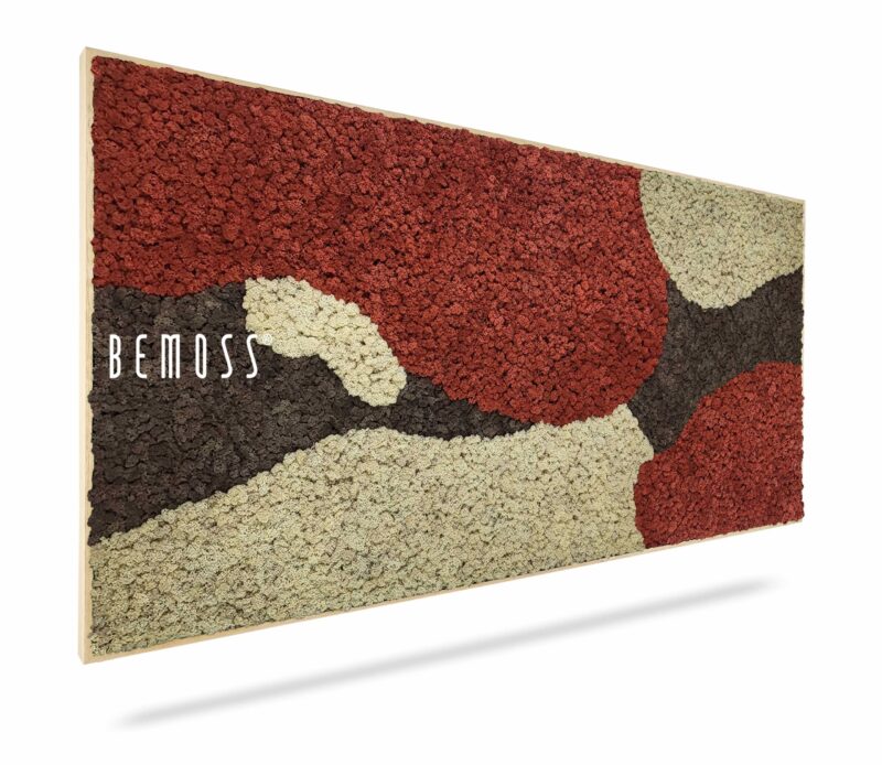 Cuadro de musgo BEMOSS® ORTHO SIENNA