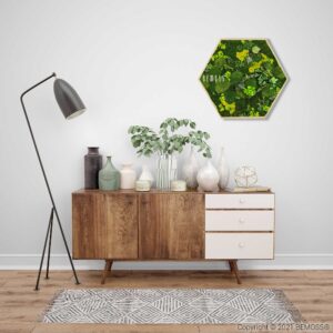 miestnosť s komodou a na stene zavesená zelená rastlina a lampa na boku, environmentálne umenie , machovy obraz, stabilizovany mach, machová stena, machová dekorácia