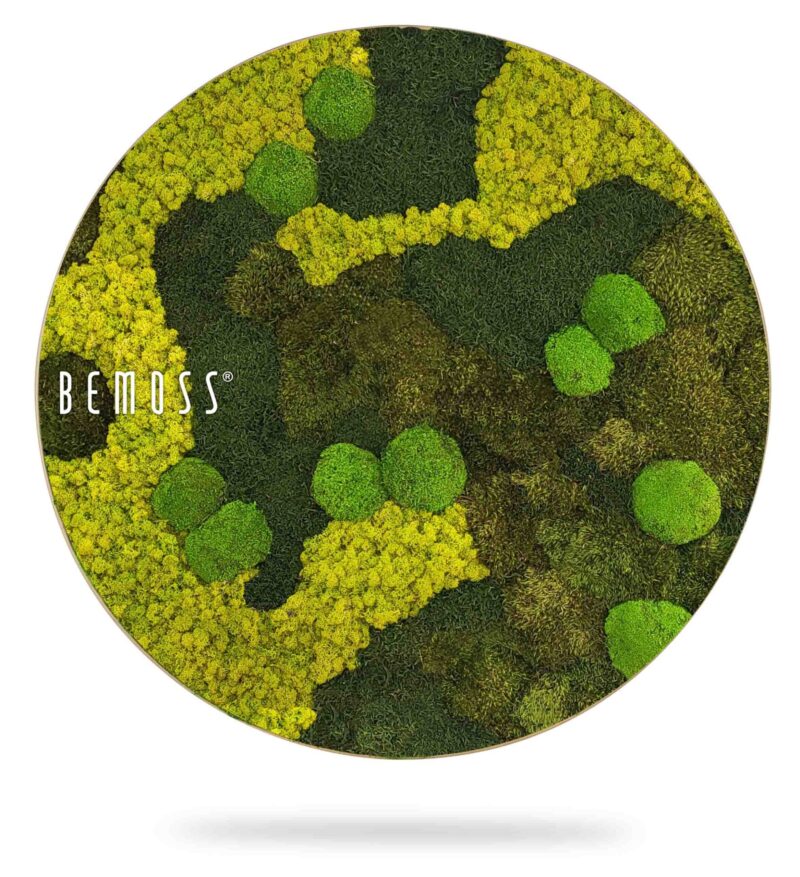 Cuadro de musgo Redondo BEMOSS® ORTHO BORJA mono