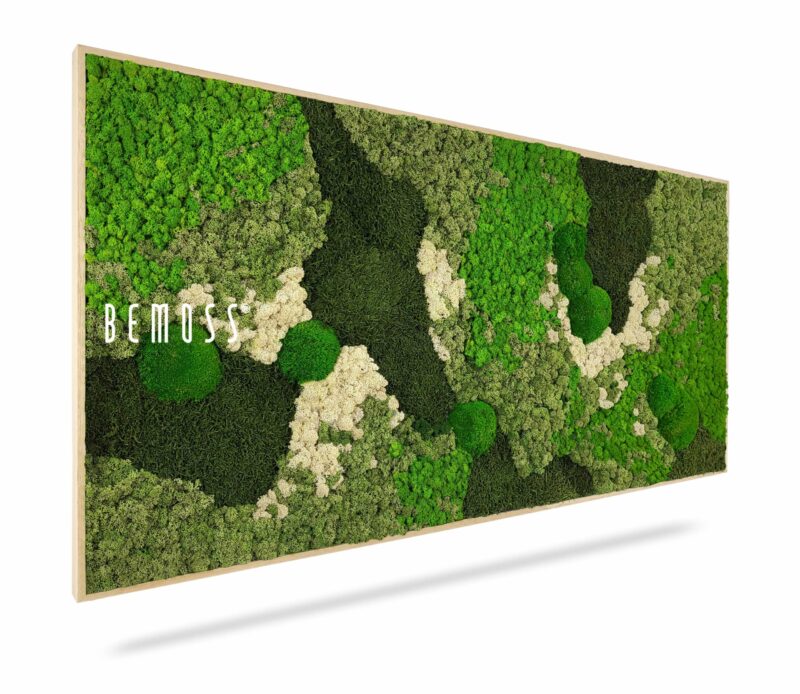 Cuadro de musgo BEMOSS® ORTHO GREEN