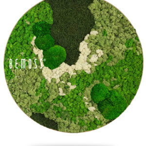 zelený kúsok trávy s bielymi písmenami nápis berms na zelenom kúsku trávy, environmentálne umenie , machovy obraz, stabilizovany mach, machová stena, machová dekorácia