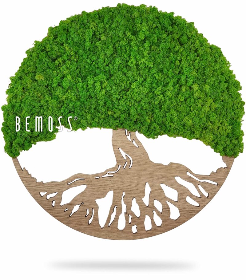 strom s veľkým koreňom je zobrazený v kruhovom tvare so slovami , environmentálne umenie, machovy obraz, stabilizovany mach, machová stena, machová dekorácia