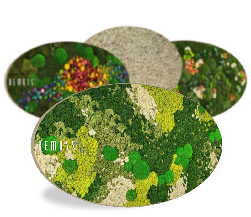 Artes de pared de musgo ovalados