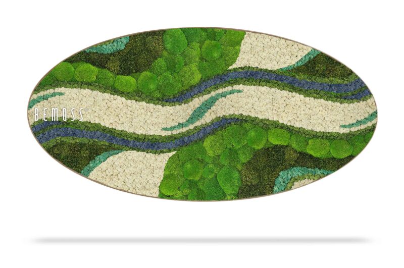 Cuadro de musgo Elipse BEMOSS® ORTHO OLVERA