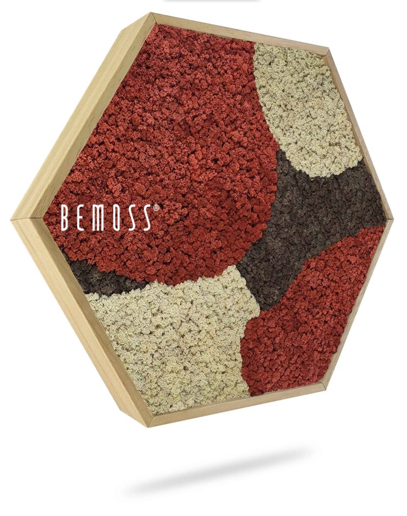 Cuadro de musgo Hexágono BEMOSS® ORTHO SIENNA