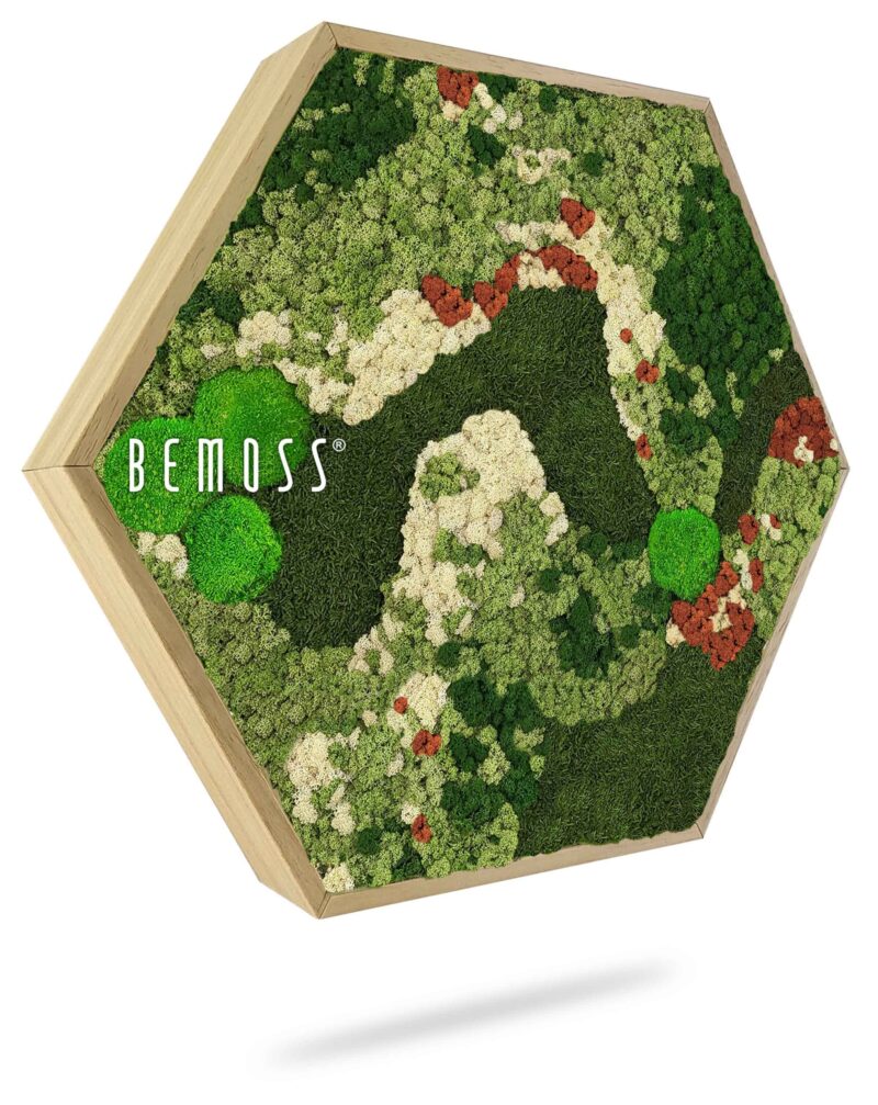 Cuadro de musgo Hexágono BEMOSS® ORTHO MANGO