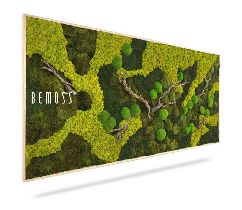Cuadro de musgo BEMOSS® ORTHO BORJA