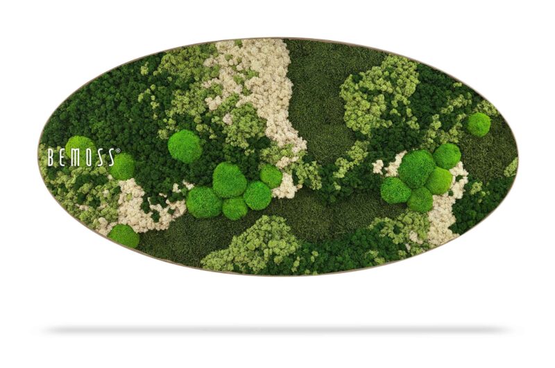 Cuadro de musgo Elipse BEMOSS® ORTHO FOREST