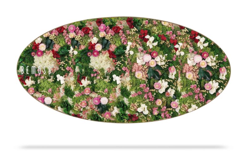 Cuadro de musgo Elipse PLANTAS Huelma