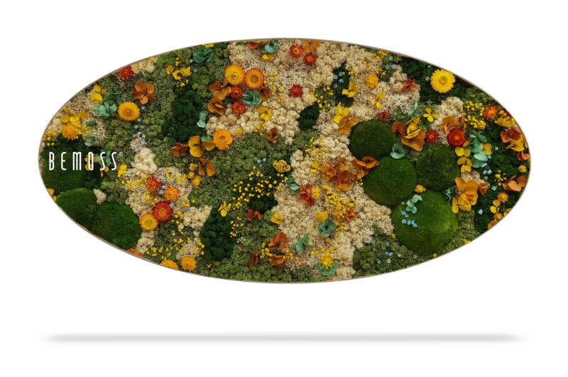 Cuadro de musgo Elipse PLANTAS Cadalso