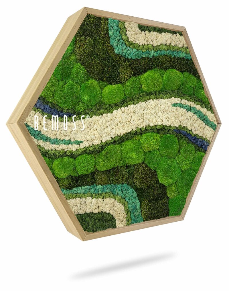 Cuadro de musgo Hexágono BEMOSS® ORTHO OLVERA