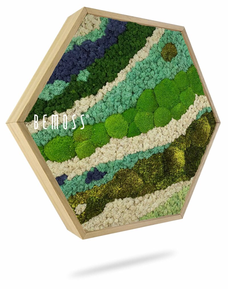 Cuadro de musgo Hexágono BEMOSS® ORTHO SWIRL