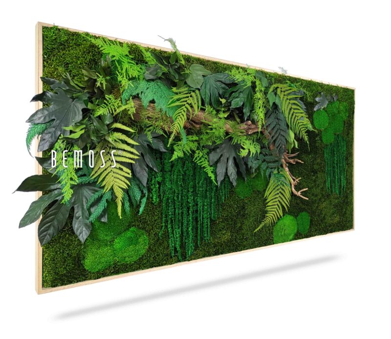 Cuadro de musgo PLANTAS Nihara