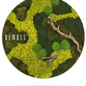 obrázok stromu obrasteného machom s nápisom bemoss v tvare kruhu s bielym pozadím, environmentálne umenie , machovy obraz, stabilizovany mach, machová stena, machová dekorácia