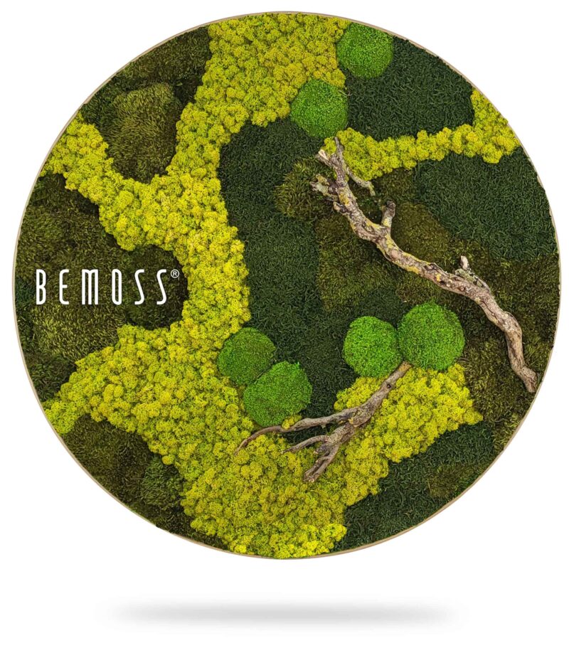 obrázok stromu obrasteného machom s nápisom bemoss v tvare kruhu s bielym pozadím, environmentálne umenie , machovy obraz, stabilizovany mach, machová stena, machová dekorácia
