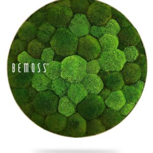 Kruh bolmoss duo natural green