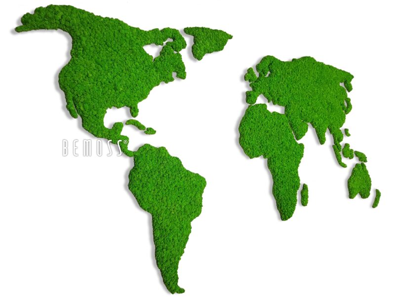 Mapa del mundo de musgo CONTINENTES